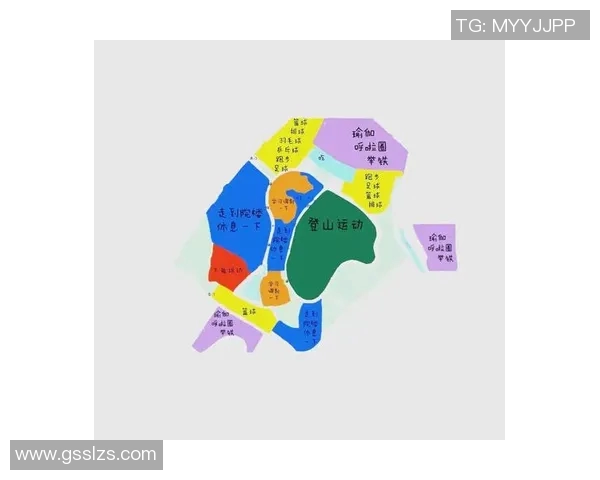 成都排球队实力深度解析与对手力量对比全景分析